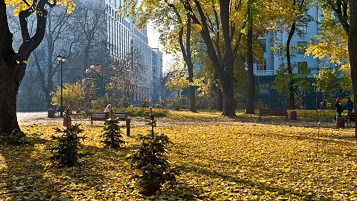 2019 рік став найтеплішим у Києві за всю історію спостережень: коли було найспекотніше