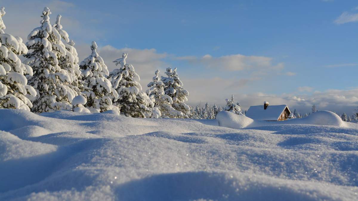 20 Yanvarya 2020 Prazdnik Kakoj Prazdnik I Chto Nelzya