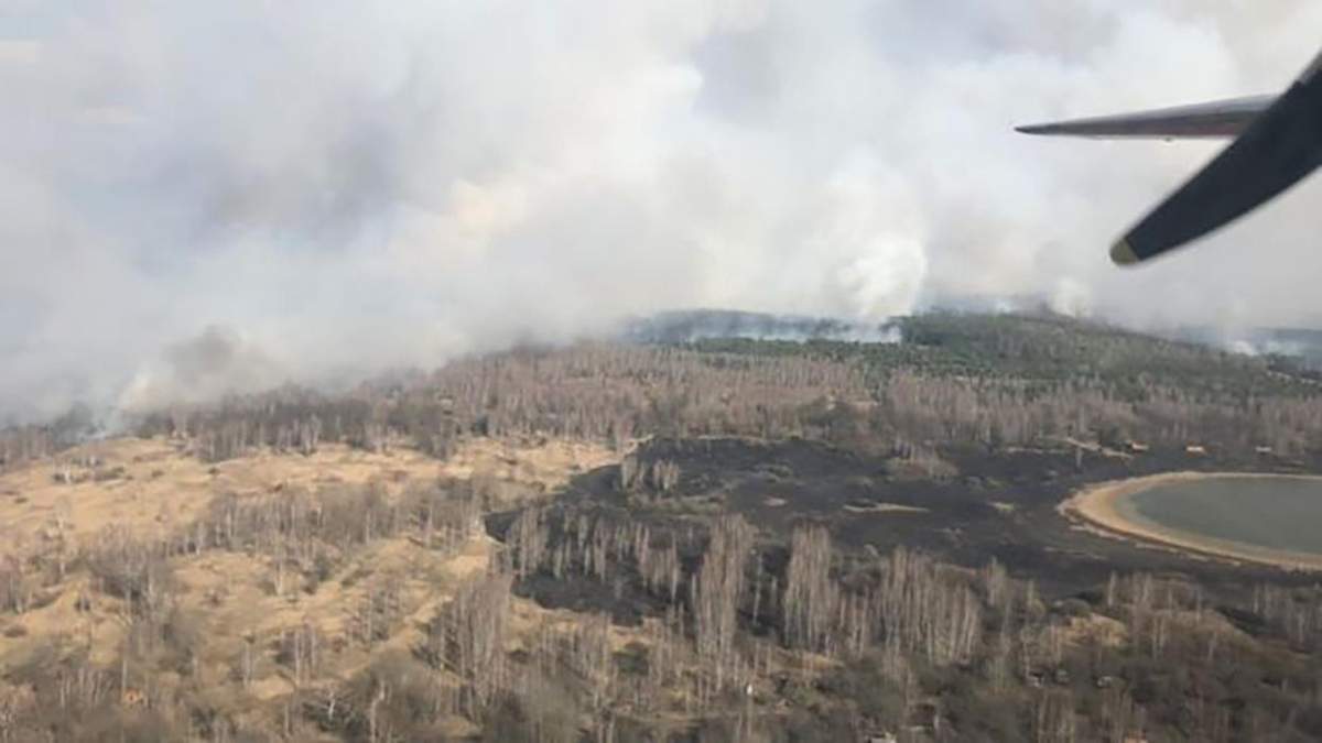 Масштабные пожары в Чернобыле: есть задержанный, полиция расследует 2 производства Масштабные пожары в Чернобыле: есть задержанный, полиция расследует 2 производства