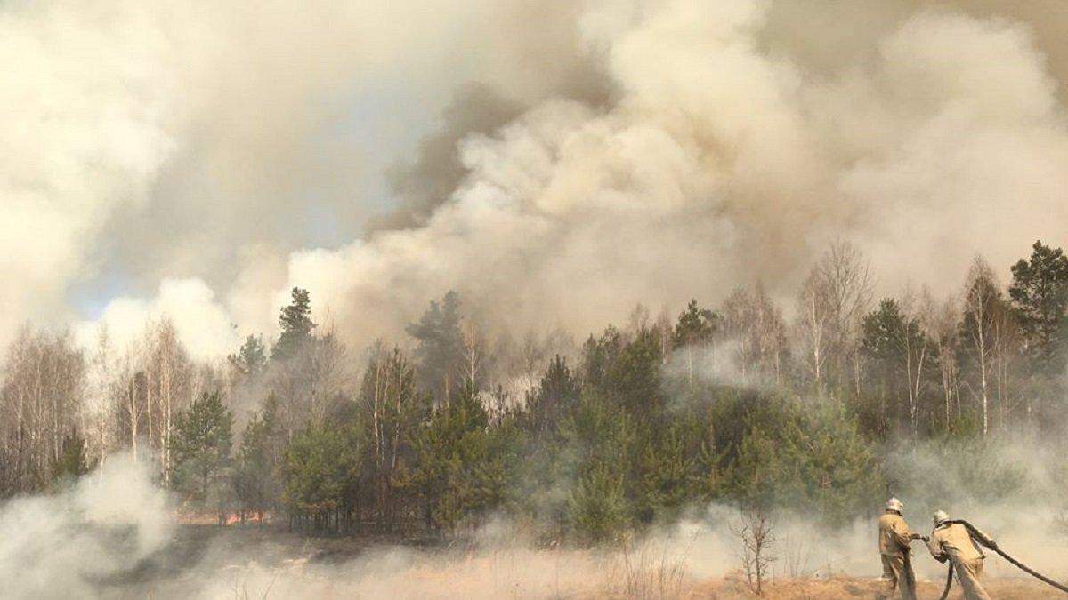 Пожежа у Чорнобильській зоні: поліція затримала ще одного палія Пожежа у Чорнобильській зоні: поліція затримала ще одного палія