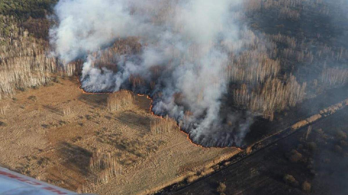 У Чорнобильській зоні, де вирують масштабні пожежі, пішов дощ
