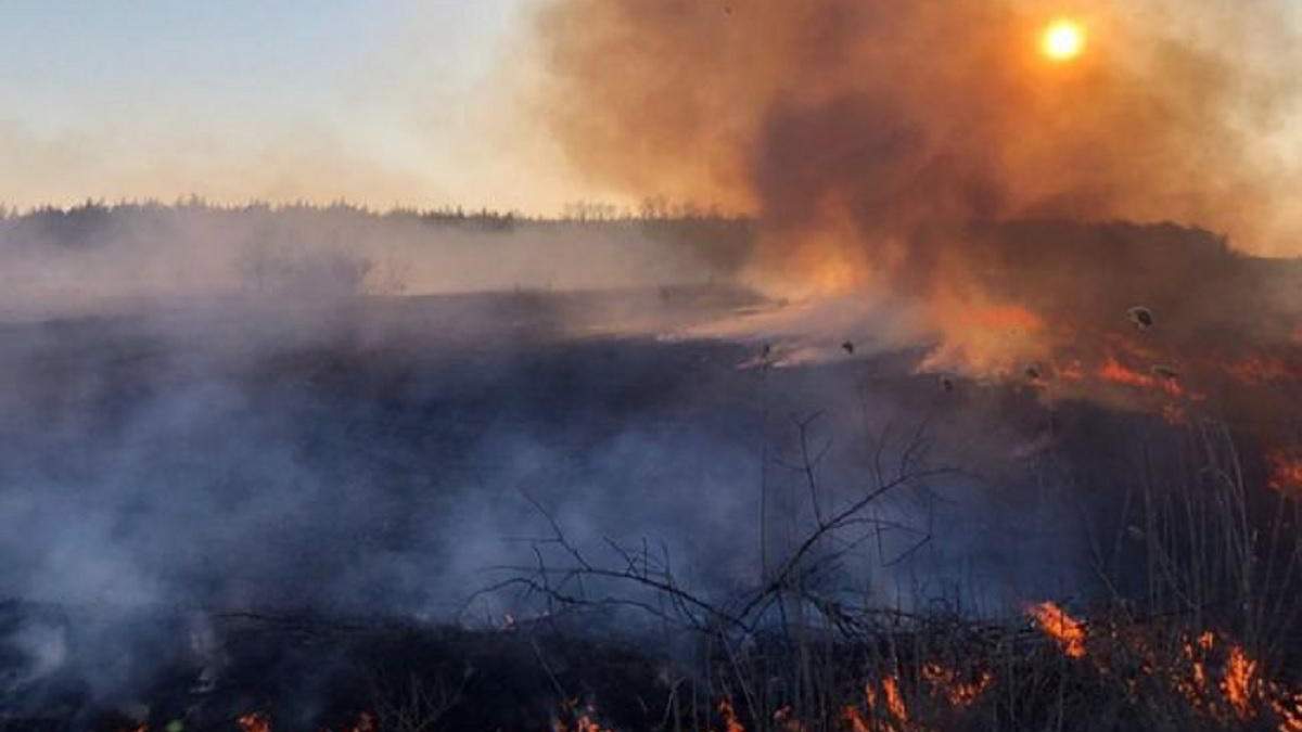 Пожежу у зоні відчуження загасили, проте через сильний вітер ситуація – загрозлива