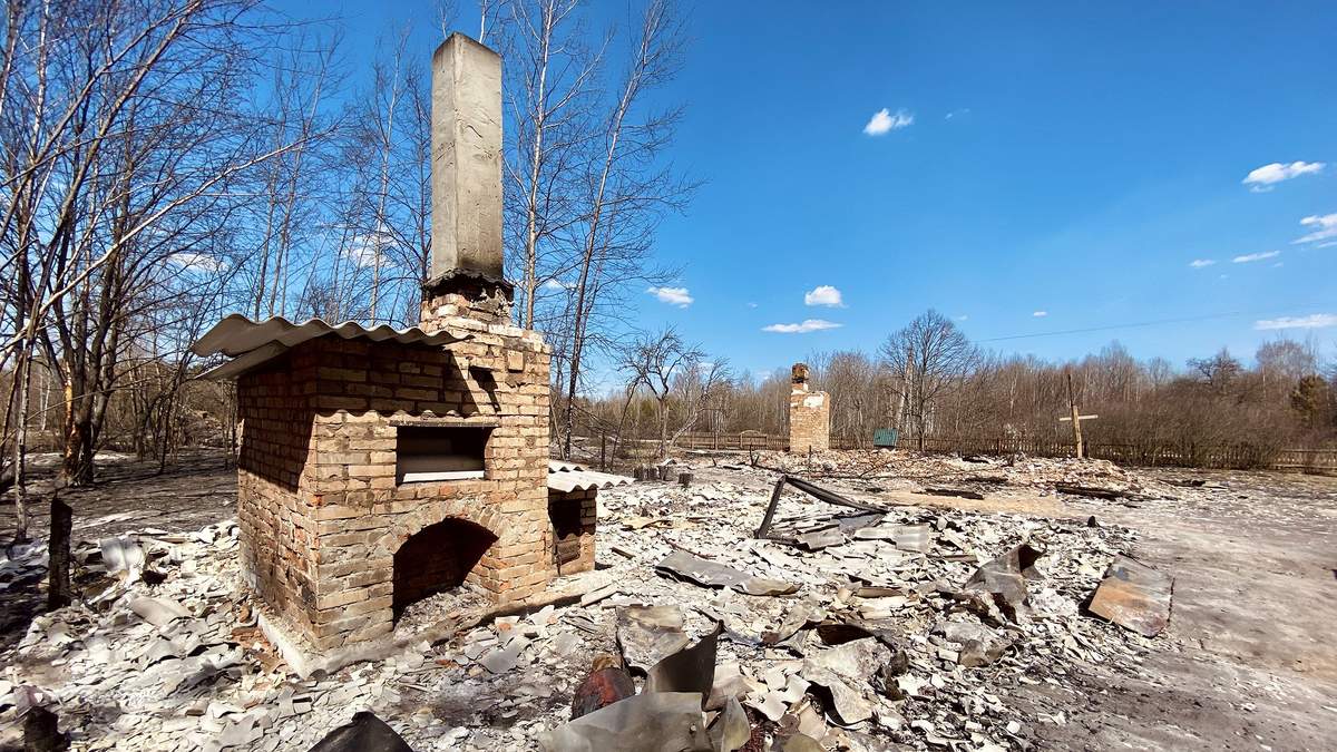 Наслідки лісових пожеж на Житомирщині: як постраждали села Личмани та Магдин – фоторепортаж Наслідки лісових пожеж на Житомирщині: як постраждали села Личмани та Магдин – фоторепортаж