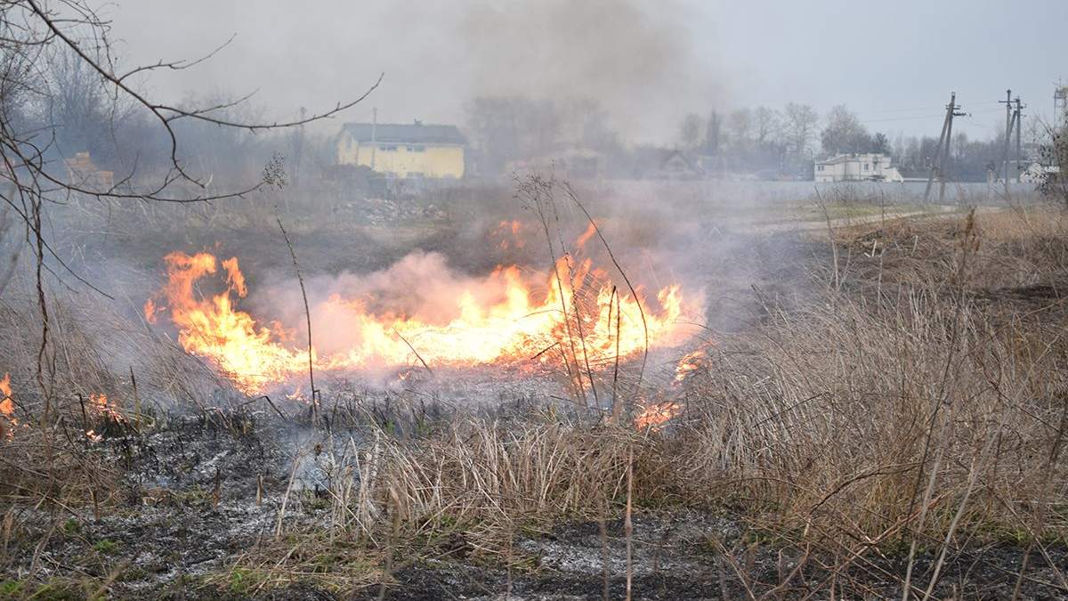 Нацгвардійці палили траву і облаяли чоловіка через зауваження - відео
