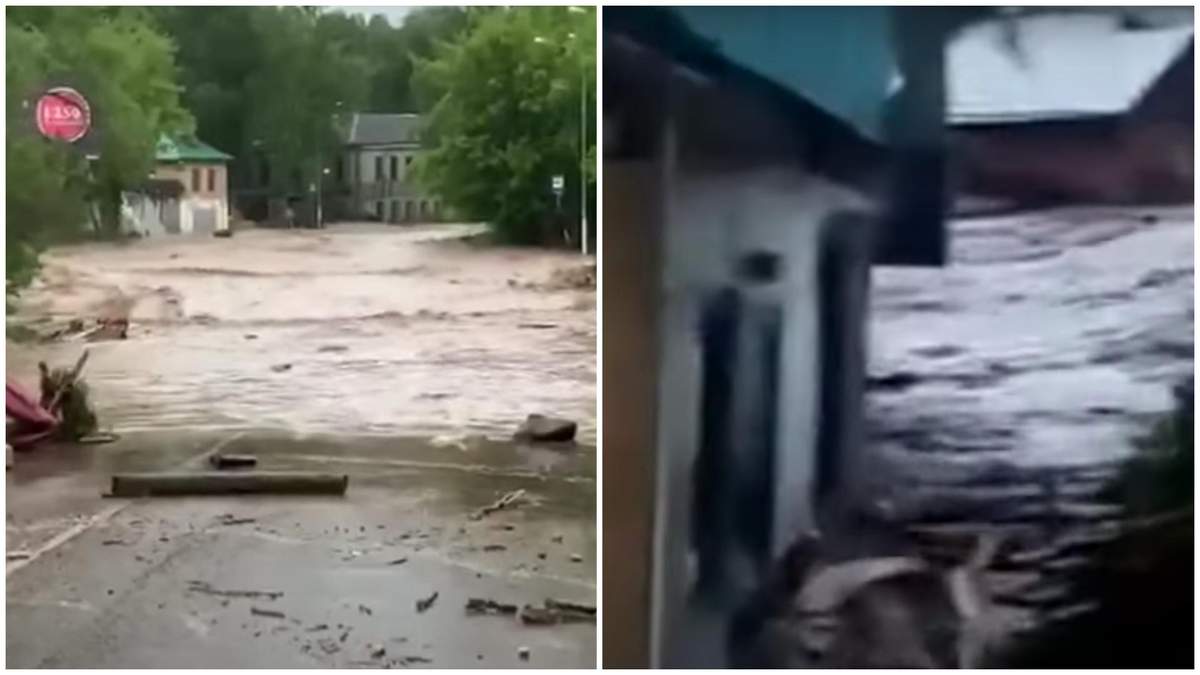 Потоп под Москвой: прорвало дамбу, снесло дома и деревья – видео