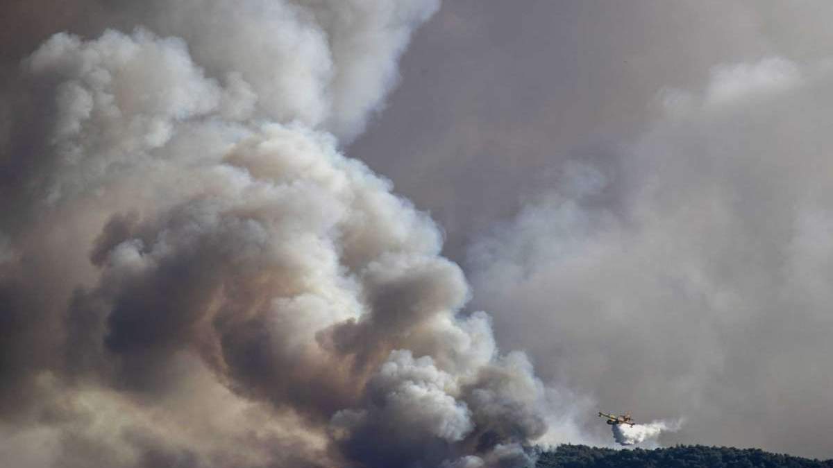 Лісові пожежі у Греції 22.07.2020: що відомо, фото
