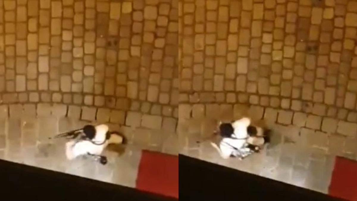 Один із злочинців, які вчинили напад у Відні, потрапив на відео
