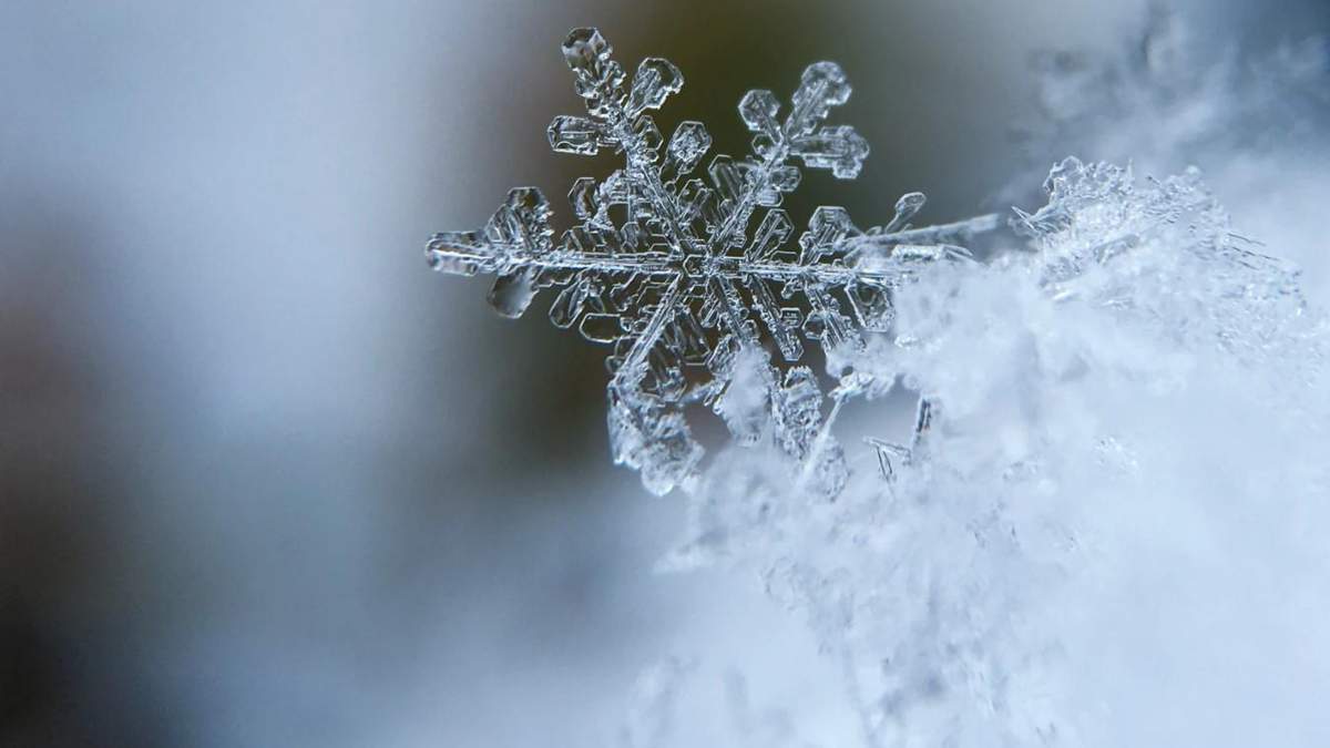 В Харькове выпал первый снег фото, видео