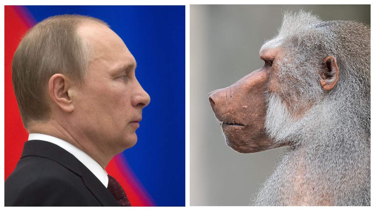 Росіяни переконували, що західні вакцини перетворюють людей на мавп