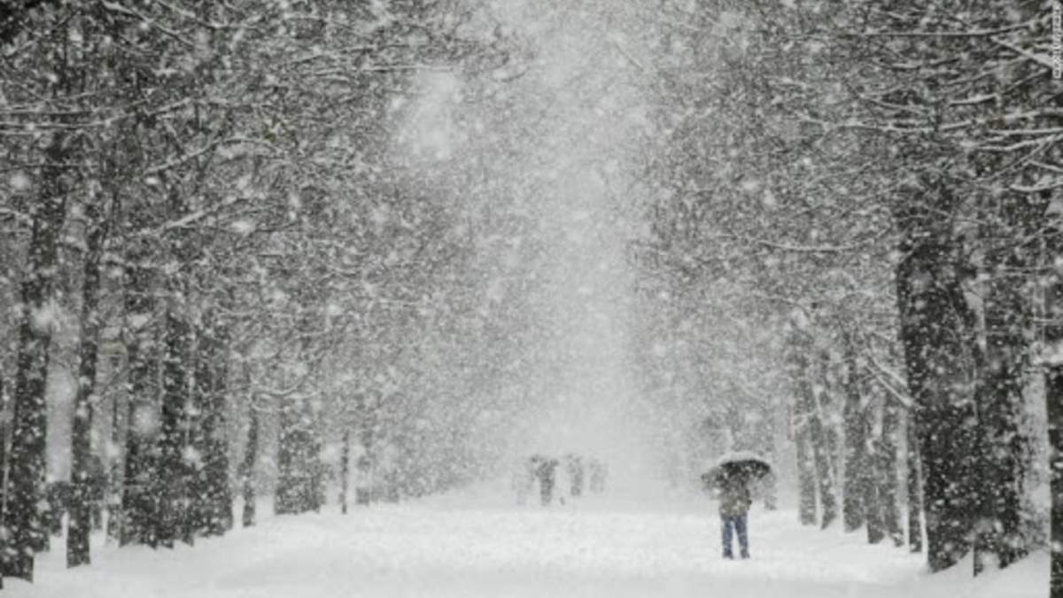 Львівщину рясно вкриє снігом: прогноз погоди на 20 лютого 2021
