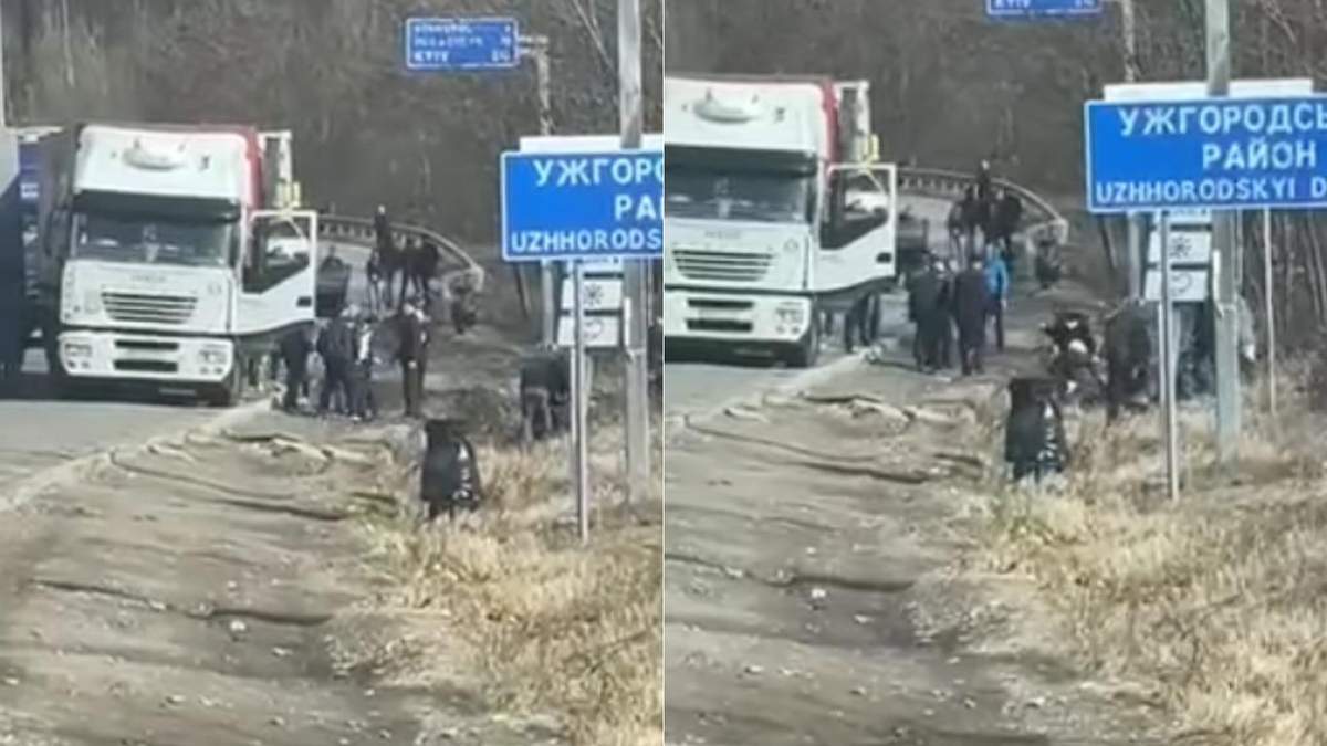 Далекобійники побились біля Ужгорода через корупцію: відео