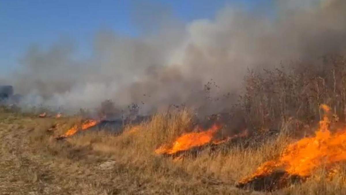 В Ізраїлі через аномальну спеку вирують масштабні пожежі: відео