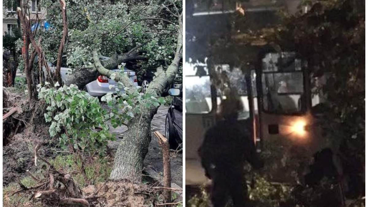 В Киеве из-за непогоды деревья разбили машины: фото и видео с места