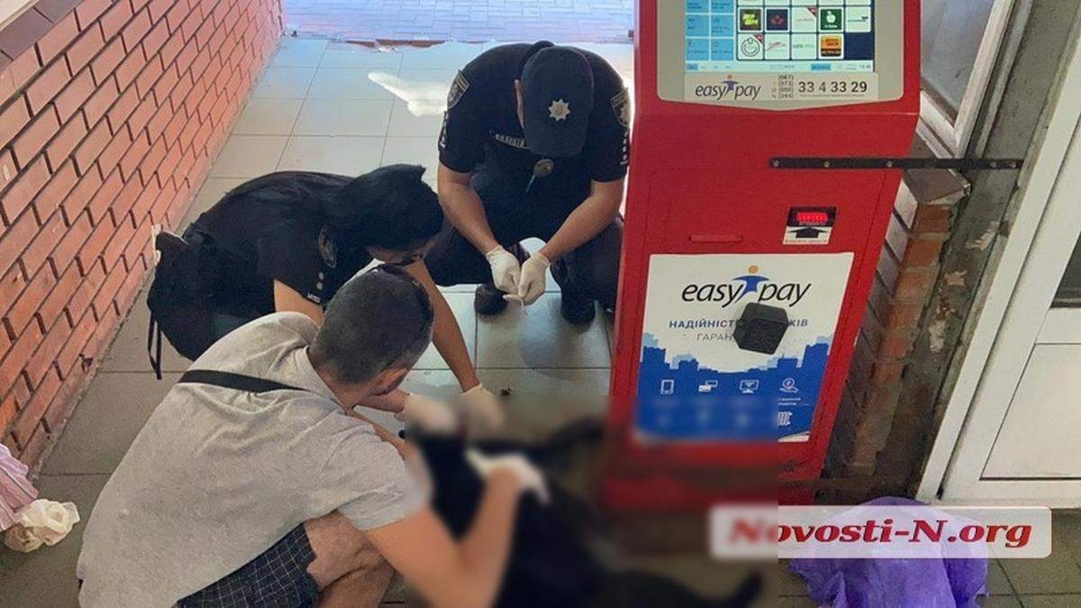 В Николаеве неизвестный на рынке убил собаку