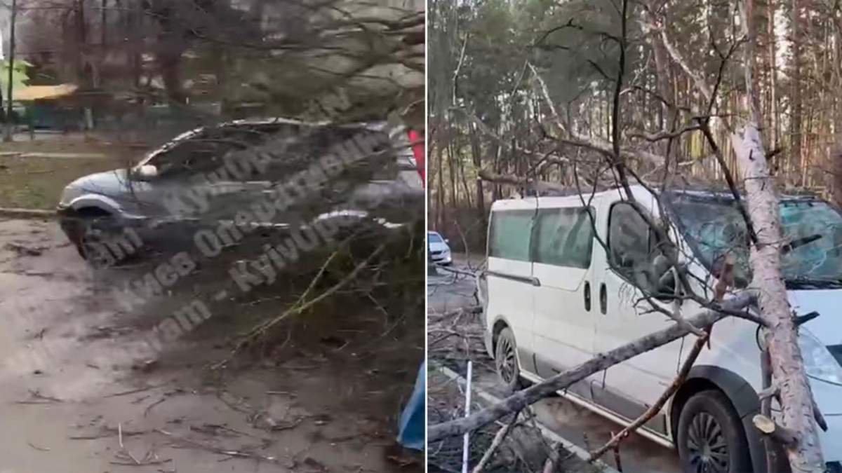 Деревопад в Киеве: видео и фото с поврежденными автомобилями