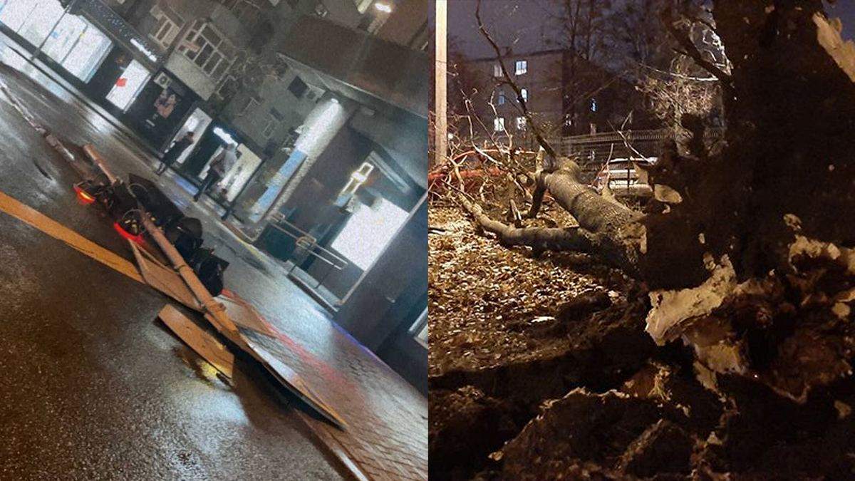 Вітер валить світлофори та дерева: у Харкові оголосили штормове попередження - Новини Харкова - Харків