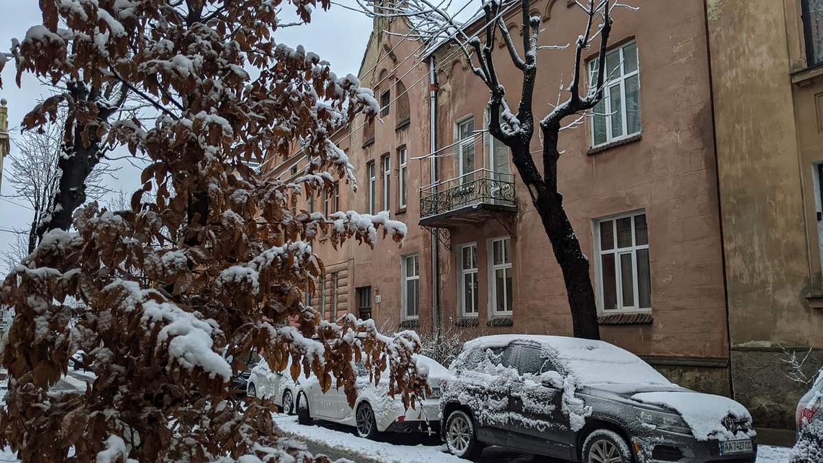 Запад Украины засыпало снегом: сказочный фоторепортаж