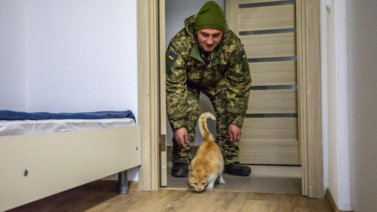 У 2022 році всі ветерани війни на Донбасі отримають квартири - новини ООС - 24 Канал