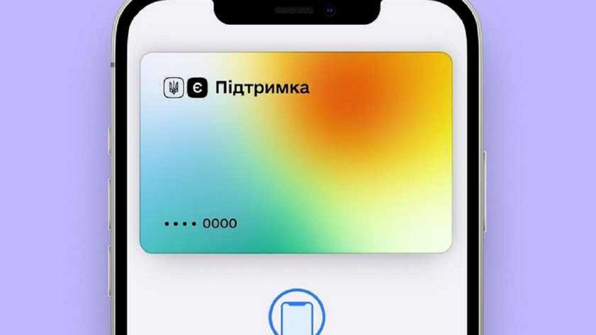 На що українці витрачали гроші найбільше з програми "єПідтримка"