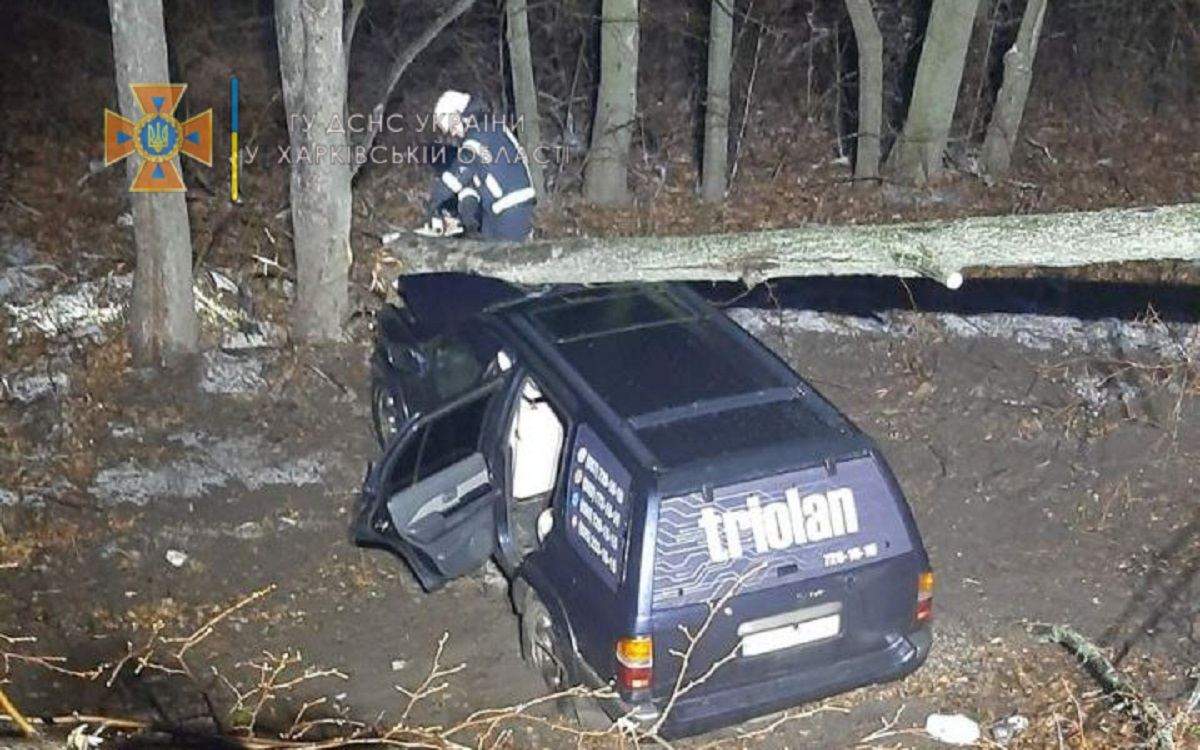 ДТП під Харковом, дерево впало на Nissan 