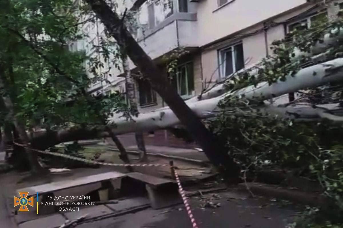 Дерево впало на будинок у Дніпрі