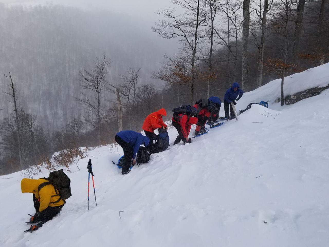 шукають туриста