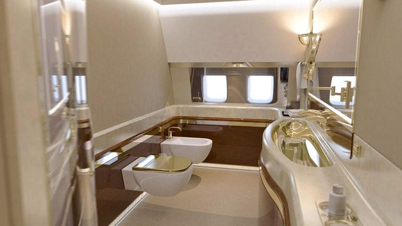 Золотий туалет і решта прикрас: ЗМІ показали усю розкіш одного із літаків Путіна (фото)