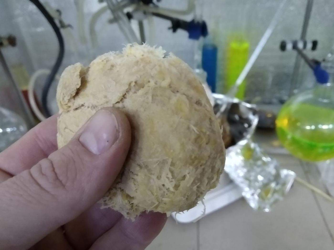 Українці виробляють папір з борщівника