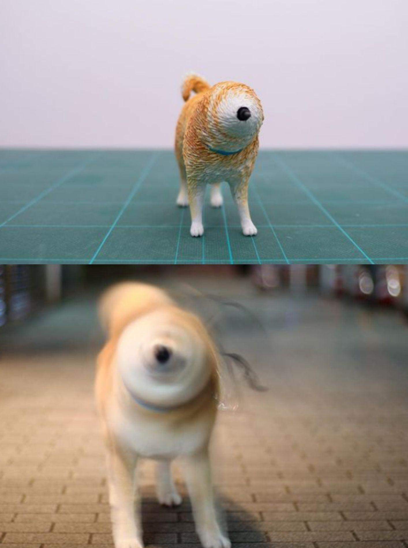 Колаж 24 каналу