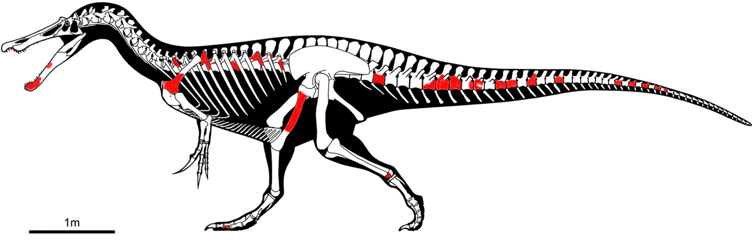 Спінозавр