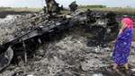Медиа-отбросы начали оправдывать Россию в деле сбитого Боинга МН17