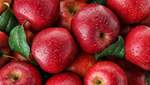 Вредно для желудка и эмали зубов: важные факты о яблоках