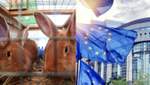 Запретить содержать домашних животных в клетках: ЕС может внести изменения с 2027 года