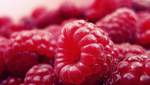 Сезон малины: интересные факты и полезные свойства ягоды