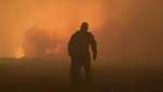 Автобусы едут сквозь пламя: в России жуткие лесные пожары, объявили ЧС