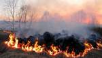 Следствие сильной жары: на значительной территории Украины – чрезвычайная пожарная опасность