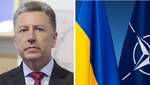 Украина выполнила условия для вступления в НАТО, ПДЧ не будет иметь пользы, – Волкер