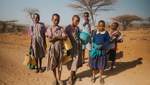Влияние пандемии: в мире ежеминутно умирают 11 человек от голода