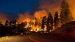В России бушуют масштабные лесные пожары: известно о первой жертве