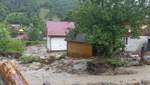 Непогода наделала бед на Закарпатье: затопило много дворов и домов – фото