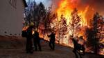 Жара в Калифорнии вызвала масштабные пожары: дома пылают, а людей эвакуируют