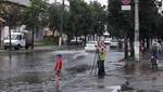 Повалені дерева, затоплені вулиці й постраждалий: Житомир накрила негода

