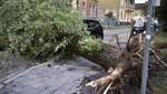 Убытки– 23 миллиона гривен: во Львове еще не оправились от страшного урагана