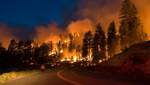 Пожары в России охватили более миллиона гектаров: власти ввели режим чрезвычайной ситуации