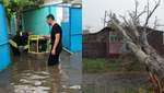 Поврежденные крыши многоэтажек и деревопад: непогода наделала беды в Украине – фото