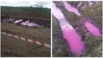 Экологи назвали причину появления розовых луж под Ровно