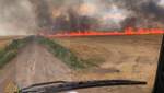 На Днепропетровщине вспыхнул огромный пожар на пшеничных полях: фото