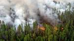 Лесные пожары из России перекинулись на соседнюю Финляндию