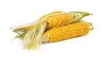 Приготовление кукурузы в микроволновке: рецепт на 5 минут