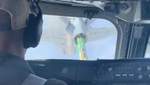 В Пентагоне показали "самолет судного дня" в воздухе: красноречивое видео